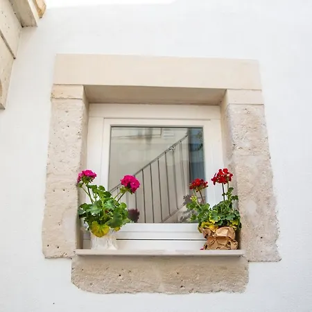 Judaica D'ortigia *